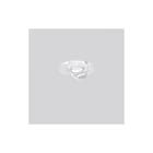 RZB - Lucio Lichtt. toebeh.v verlichtingsarm. 983086.000