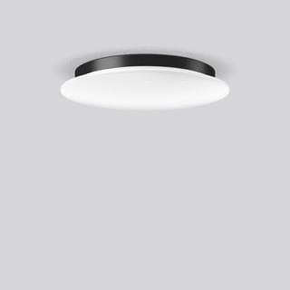 RZB - Flat Slim Disc Plafond-/wandarmatuur 312639.0031.730