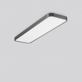 RZB - Triona Plafond-/wandarmatuur  312710.0031.730