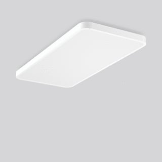 RZB - Triona Plafond-/wandarmatuur 312717.002.1.76