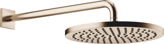 Dornbracht - Douchekop regendch wnd 300mm mgld