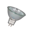 Bailey - Halogen Reflector Laagvolt halogeenreflectorlamp Gu5.3 Cover 24V 20W 38D