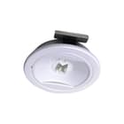 Famostar - CELO CI Noodverlichtingsarmatuur Vs-1 L Smartscan
