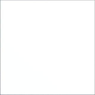 Gira - Systeem 106 Functiemodule voor deurstation Blinde Module S106 Wit