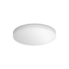 Steinel - R-serie Plafond-/wandarmatuur Rs Pro R10 Basic Sc Nw