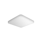 Steinel - R-serie Plafond-/wandarmatuur Rs Pro R20 Basic Q Sc Ww