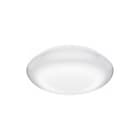 Steinel - Vario Plafond-/wandarmatuur Sens Dl Quattro Pro