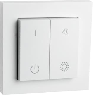 SG Lighting - Connect Hand-/wandzender bussysteem switch wit
