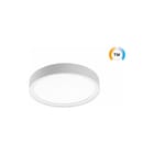 SG Lighting - Disc 290 Plafond-/wandarmatuur 290 wit tw dali dt8