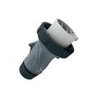 Mennekes - CEE-contactstop contstp 16a 5p 1h >50v
