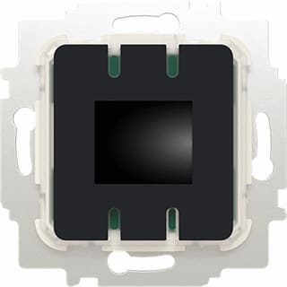 ABB Busch-Jaeger - Ruimtethermostaat 2cka001032a0539