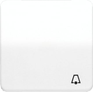 Jung - CD500 Slagvast Overgangsafdekplaat schakelmat. Klapd 50X50Mm Sv Wit Cd
