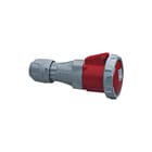 Legrand - P17 Tempra Pro CEE-koppelcontactstop Kstek 400V 125A 4P+A Ip67