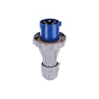 Legrand - P17 Tempra Pro CEE-contactstop Rstek 230V 63A 4P+A Ip67