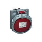Legrand - P17 Tempra Pro CEE-wandcontactdoos Wcd Cee 400V 63A 3Pa Ip67
