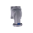 Legrand - P17 Tempra Pro CEE-contactdoos, aanbouw Opb. Wcd 230V 63A 2P+A 67