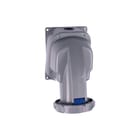 Legrand - P17 Tempra Pro CEE-contactdoos, aanbouw opb. wcd 230v 63a 4p+a 67