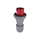 Legrand - P17 Tempra Pro CEE-contactstop Rstek 400V 125A 3P+A Ip67