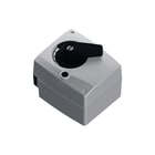 Meibes - Elektrische servomotor Flam Mbs Servmot Fl-Mk Dn40/50