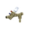 Miniatuur 1