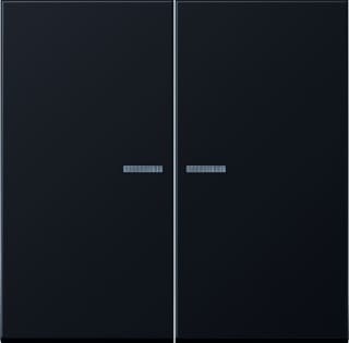 Jung - LS990 Tastsensor bussysteem knx rf tastafd 2v alu don