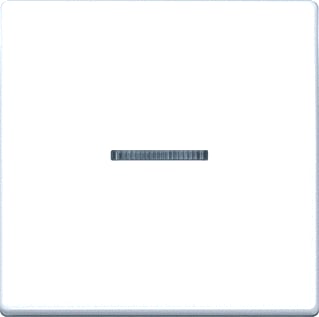 Jung - AS500 Tastsensor bussysteem Knx Rf Tastafd 1V Awit