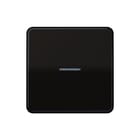 Jung - CD500 Tastsensor bussysteem knx rf tastafd 1v br