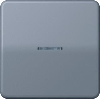 Jung - CD500 Tastsensor bussysteem knx rf tastafd 1v grn