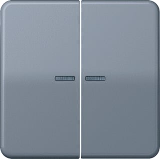 Jung - CD500 Tastsensor bussysteem knx rf tastafd 2v grn