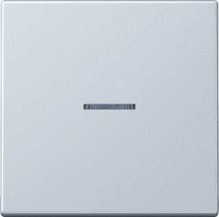Jung - LS990 Tastsensor bussysteem knx rf tastafd 1v gr