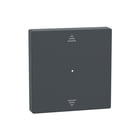 Schneider Electric Merten - Bed.element / centr.pl. schakelmat. bedelem schm meg5215-0414