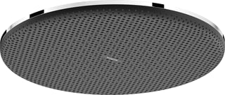 Hansgrohe - Raindance Alive S Douchekop Rd Al/S Hoofdd Chr