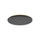 Hansgrohe - Raindance Alive S Douchekop Rd Al/S Hoofdd Bbr