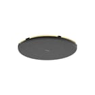 Hansgrohe - Raindance Alive S Douchekop rd al/s hoofdd es pgo