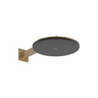 Hansgrohe - Raindance Alive S Douchekop Rd Al/S Hoofddw Bbr