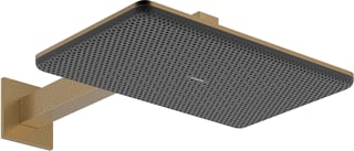 Hansgrohe - Raindance Alive Q Douchekop rd al/q hoofddw bbr