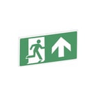 STAHL - Pictogram noodverlichting pictogram 274758