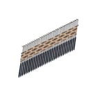 Tjep - Schietnagel gf 31/80 rng rvs a4 ds810