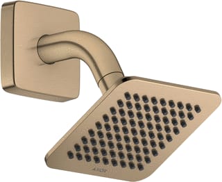 Axor - Citterio C Douchekop citter c hfdd 120/120 bbr