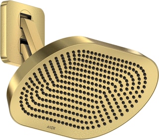Axor - ShowerSphere Douchekop shsphere hfdd 370 2j pgo