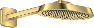 Axor - ShowerSphere Douchekop shsphere hfdd 250 2j pgo