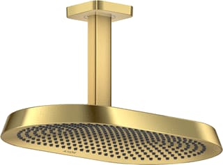 Axor - ShowerSphere Douchekop shsphere hfdd 370 2j pgo
