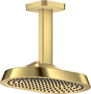 Axor - ShowerSphere Douchekop shsphere hfdd 250 1j pgo
