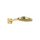 Axor - ShowerSphere Douchekop shsphere hfdd 250 1j pgo