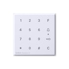 Gira - TX44 Toegangscontrole-unit bussysteem Opst Codeklavier Wit