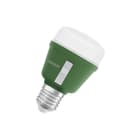 Ledvance - LED-lamp osr star grow t60 10w e27