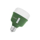Ledvance - LED-lamp osr star grow t60 20w e27