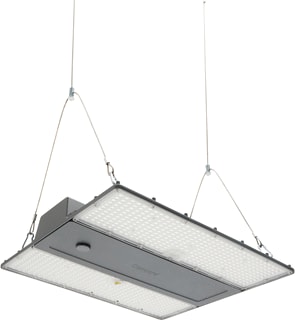 Concord - Halstraler halstrl 2825401