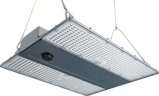 Concord - Halstraler halstrl 2825422