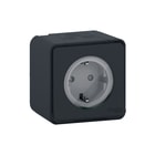 Schneider Electric Merten - Wandcontactdoos (WCD schakelmat.) Mureva Styl Wcd 1V Ip55 Gr